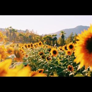 Meet your Posher, Magali